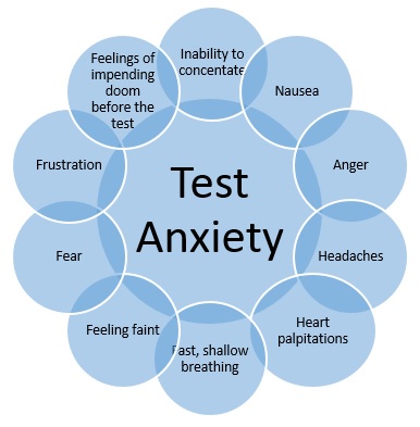 anxiety testing school students