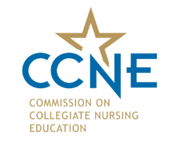 CCNE Logo